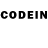 Галлюциногенные грибы GOLDEN TEACHER Vixente
