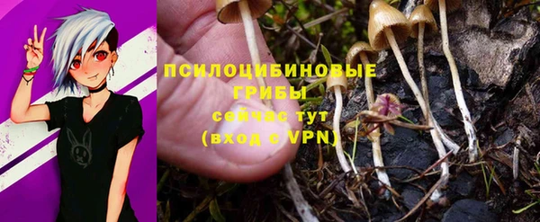 мяу мяу мука Баксан